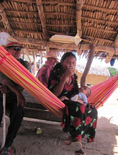 bioguajira galeria