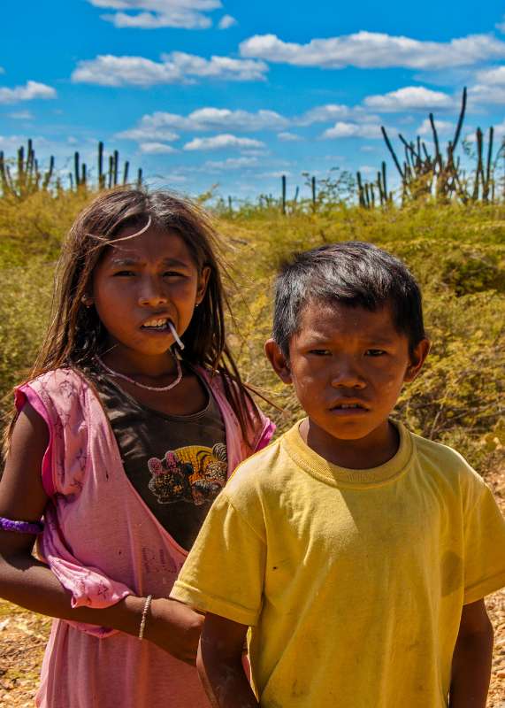 bioguajira nosotros