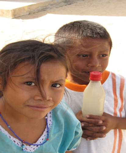 bioguajira proyectos3