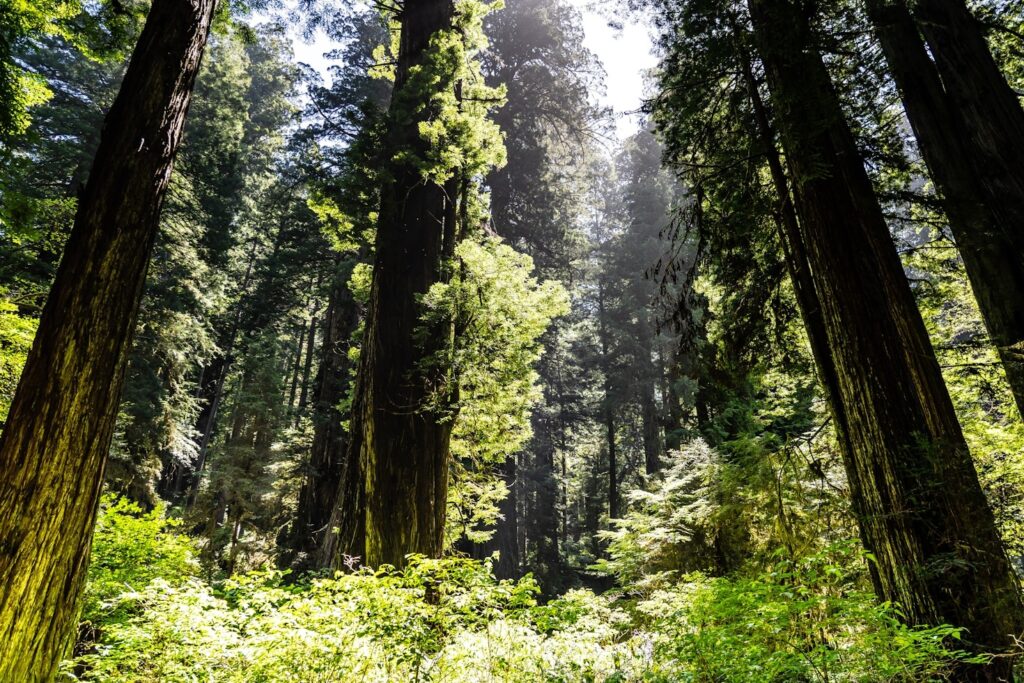 Featured Image 0 1024x683