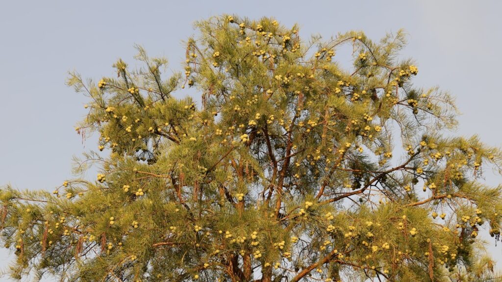 Featured Image 4 1024x575