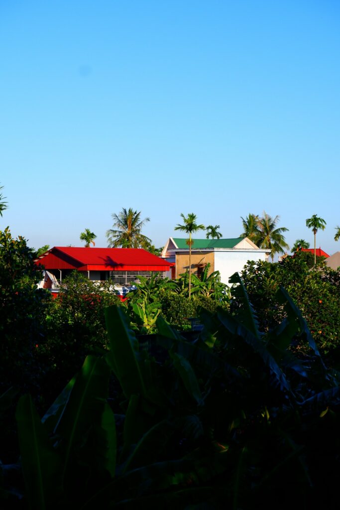 Cómo puedes apoyar la misión de la Fundación Bioguajira Featured Image 7 683x1024